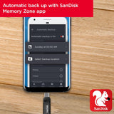 SanDisk 128GB Ultra Dual Drive Go USB Type-C Flash Drive, Black - SDDDC3-128G-G46
