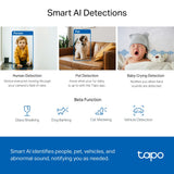 Câmara de Segurança Wi-Fi TP-Link Tapo C220 – 2K 4MP