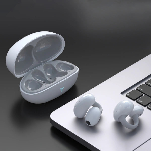 WiWU Wireless Bluetooth Earbuds T17