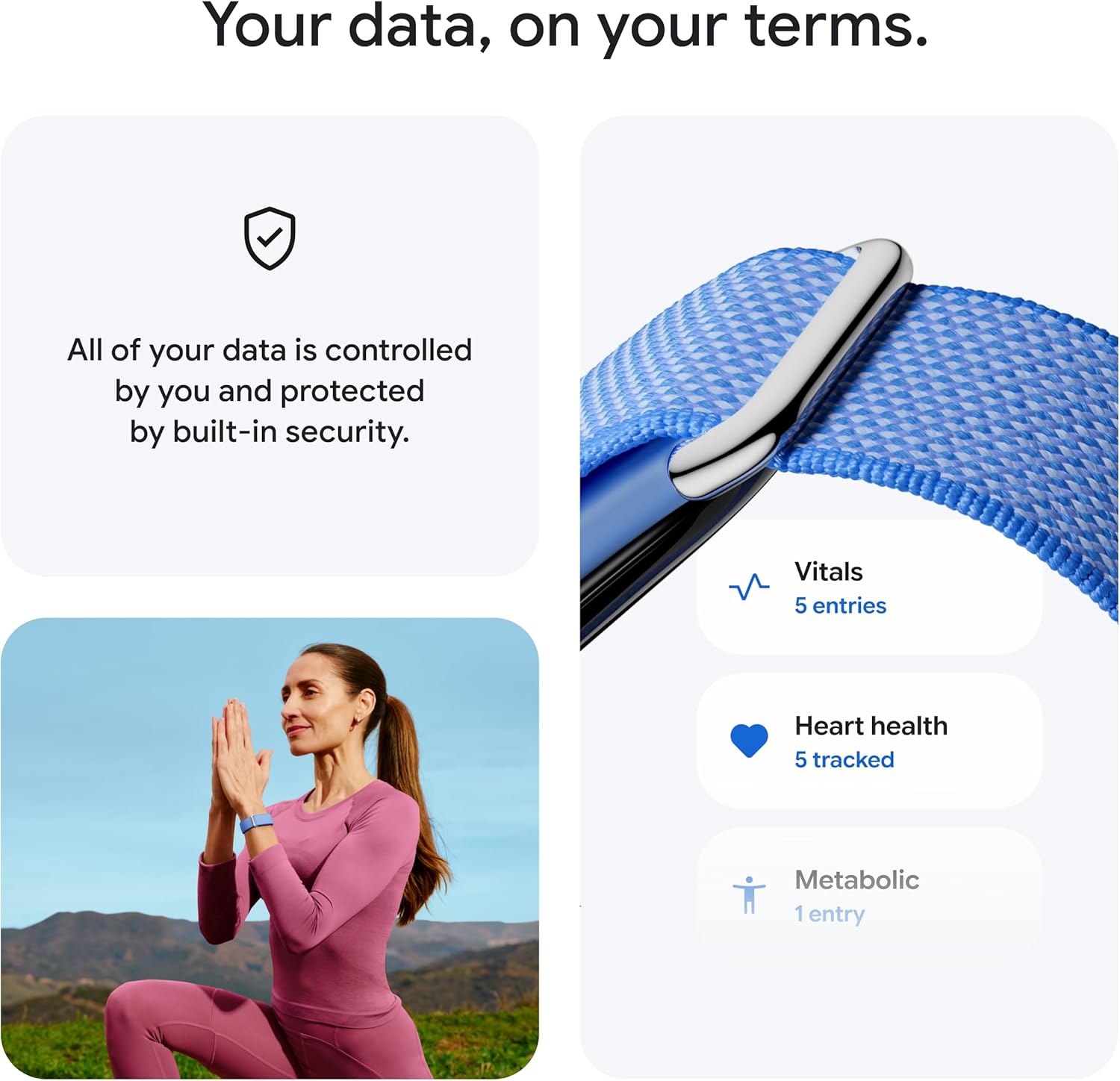 Google Fitbit Air