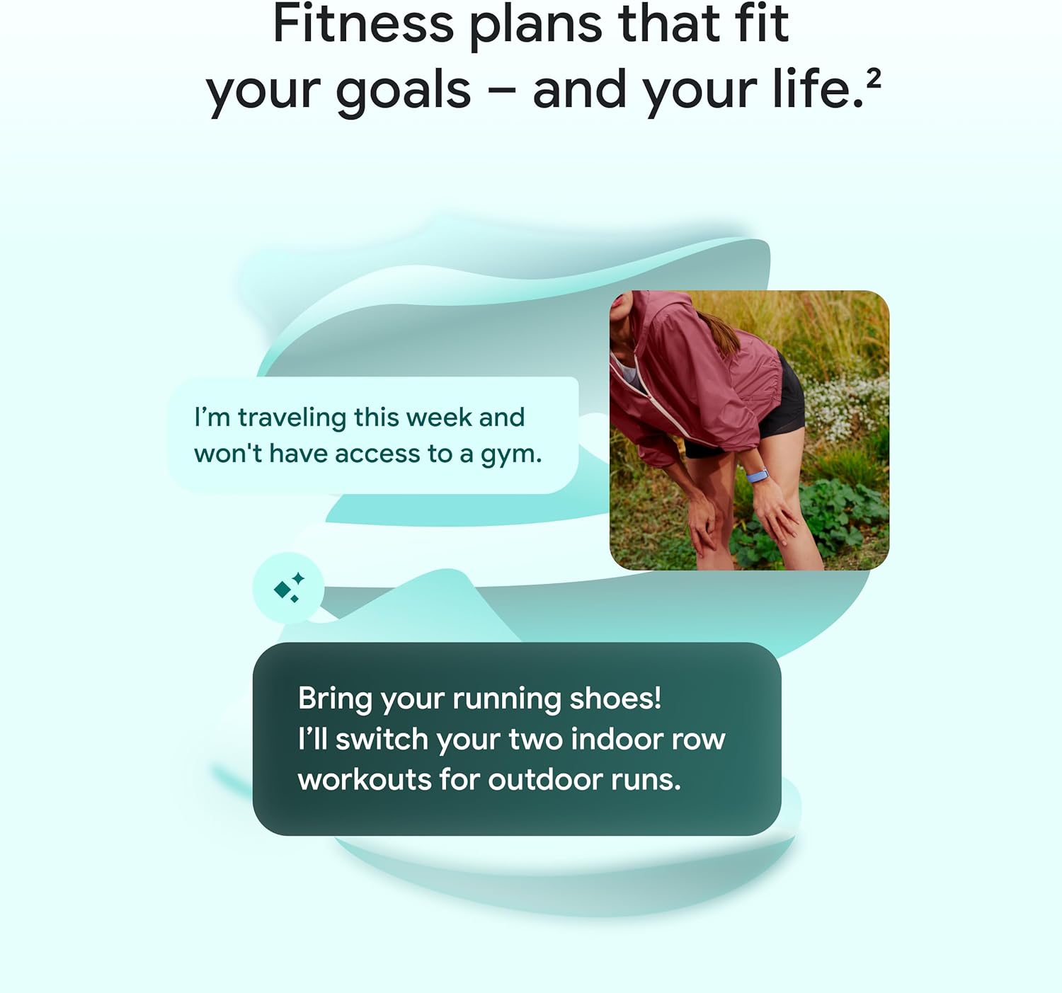 Google Fitbit Air