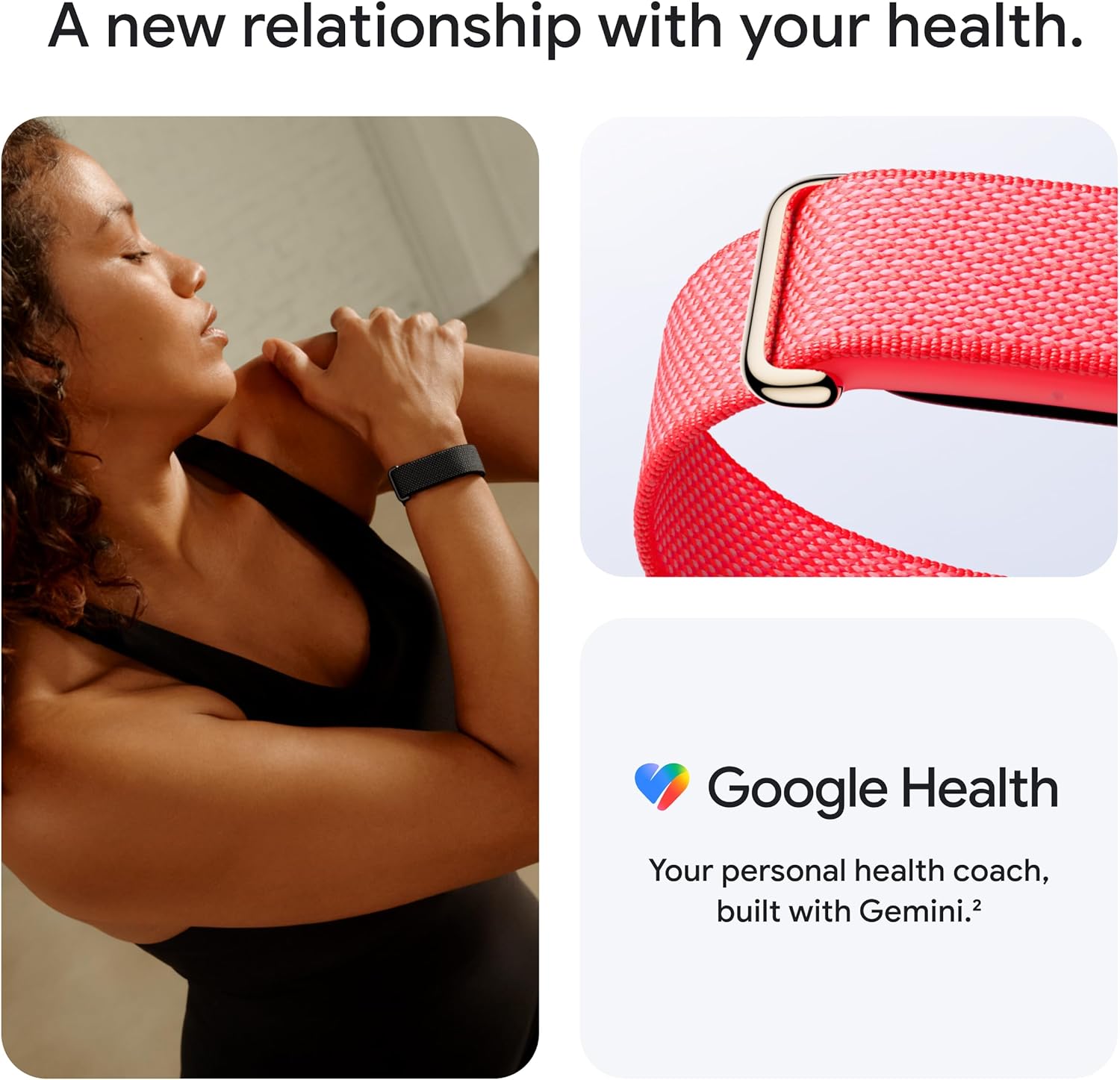 Google Fitbit Air