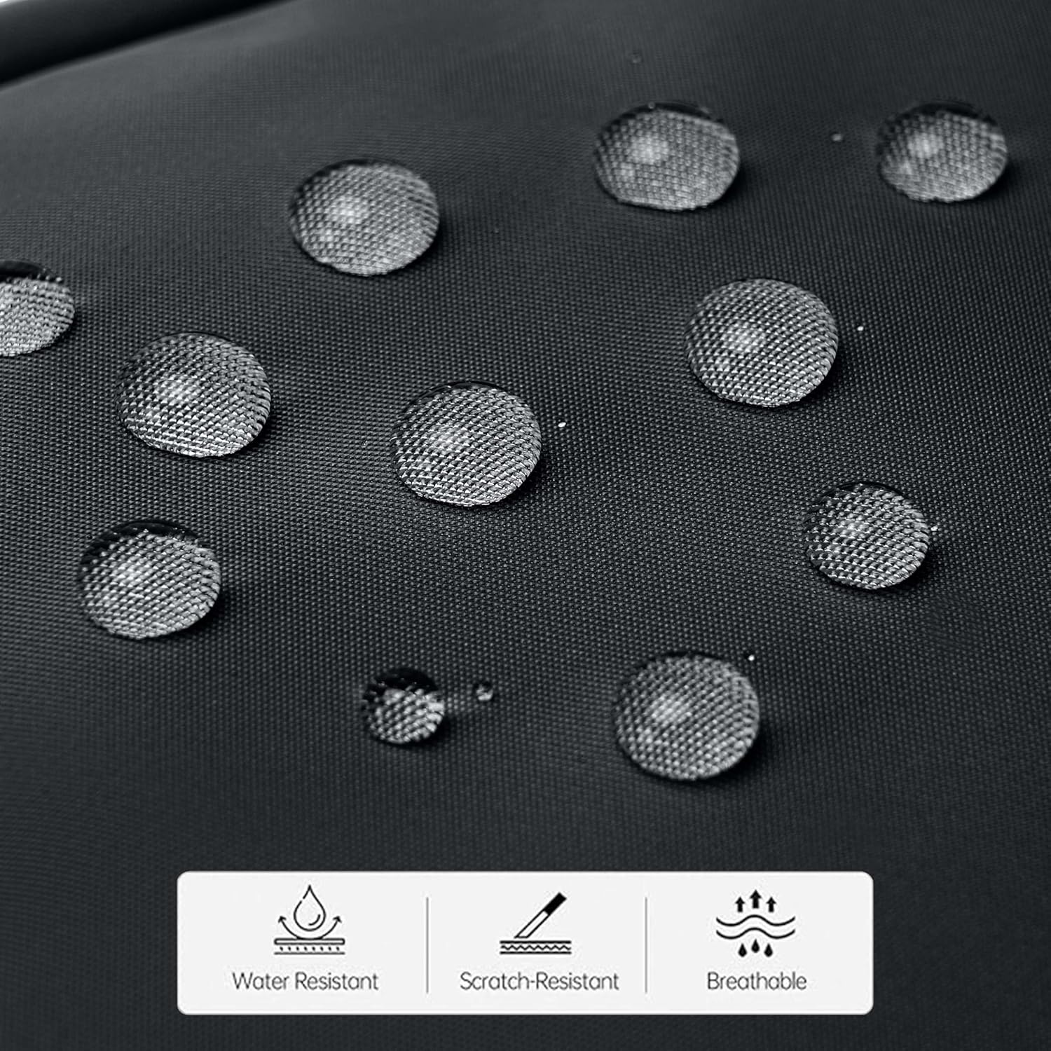 Chantria CB00793