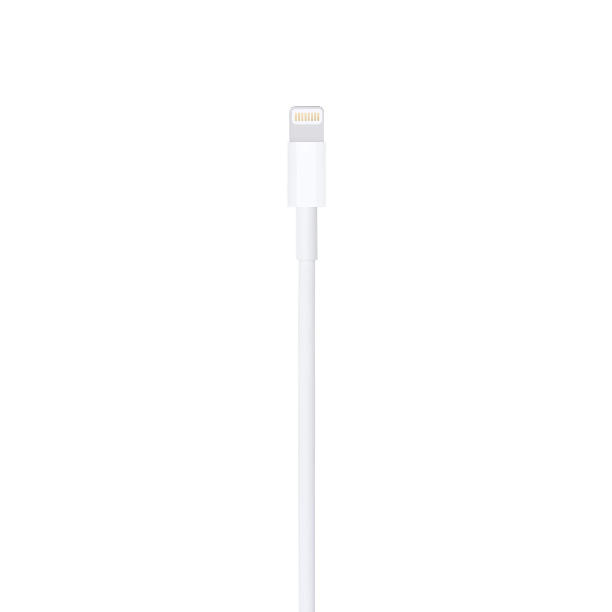 Cabo Lightning para USB – 1 Metro