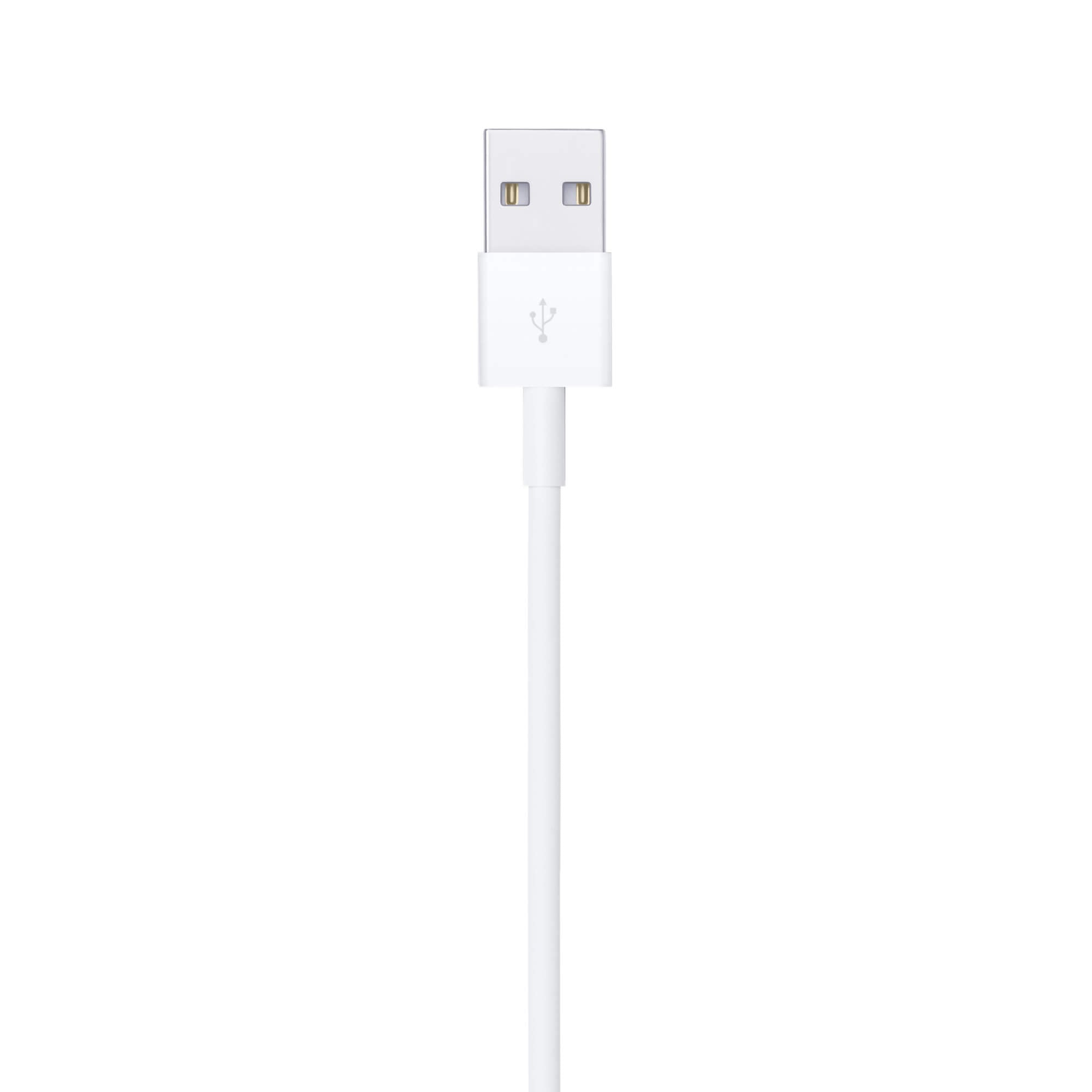 Cabo Lightning para USB – 1 Metro