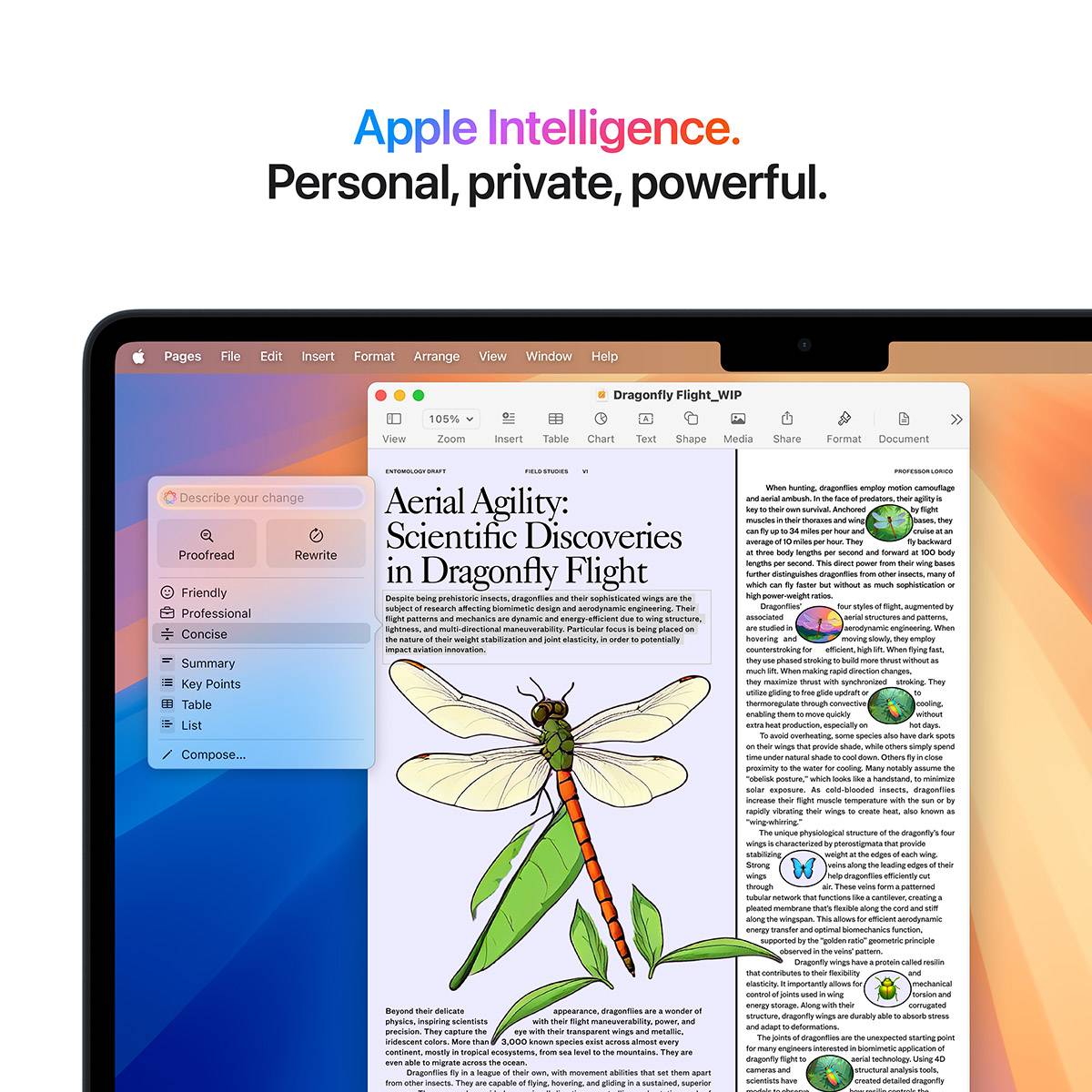 MacBook Air 13,6" M4 (2025) 16 GB 256 GB SSD