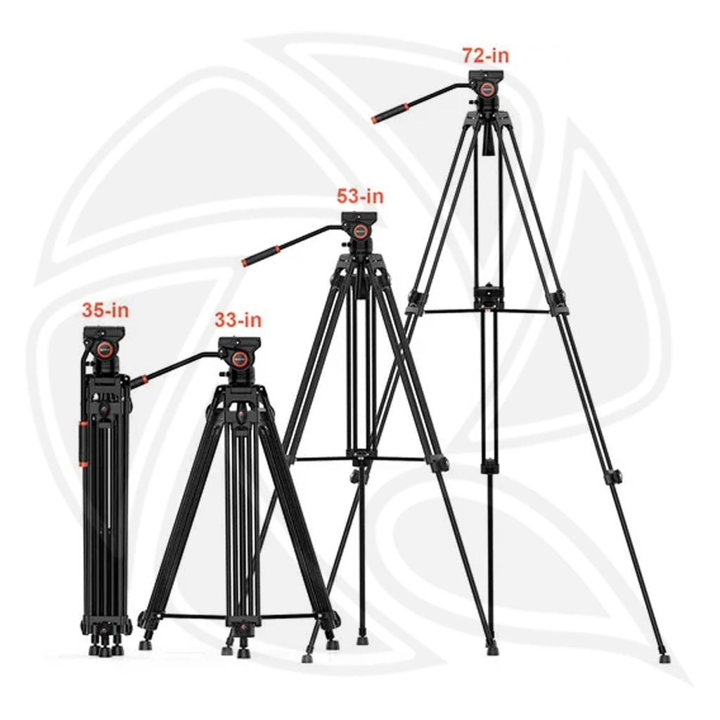 Trípode Triopo DV965 e Cabezal Hidráulico HY550