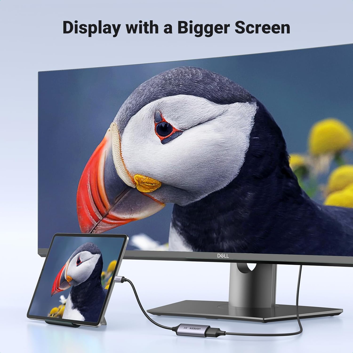 UGREEN 15575 8K@60Hz USB C to DisplayPort 1.4 Adapter