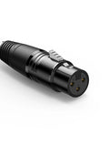 Cabo de Áudio AV UGREEN de 2 metros, 6,35 mm para XLR Fêmea (Preto) – AV131 – 20719