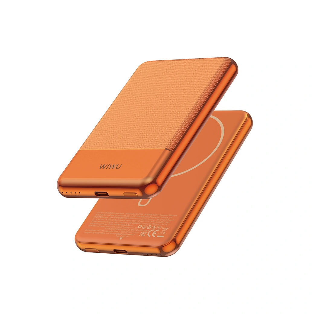 Power Bank WIWU Titanlink 5.000mAh Silver Seraphy WI-P088