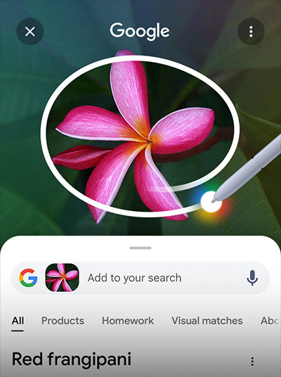 Samsung Galaxy S25 Ultra
