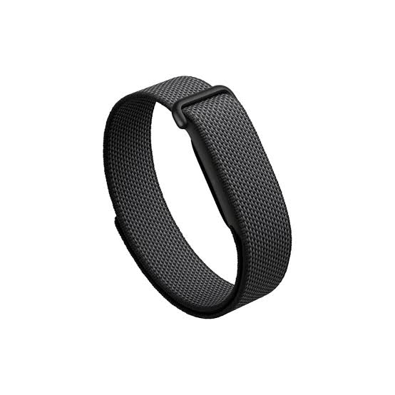 Google Fitbit Air