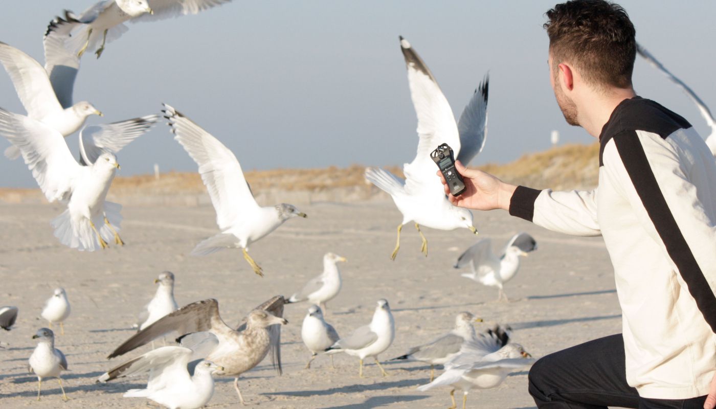 Zoom H1n handy recorder - Image 14